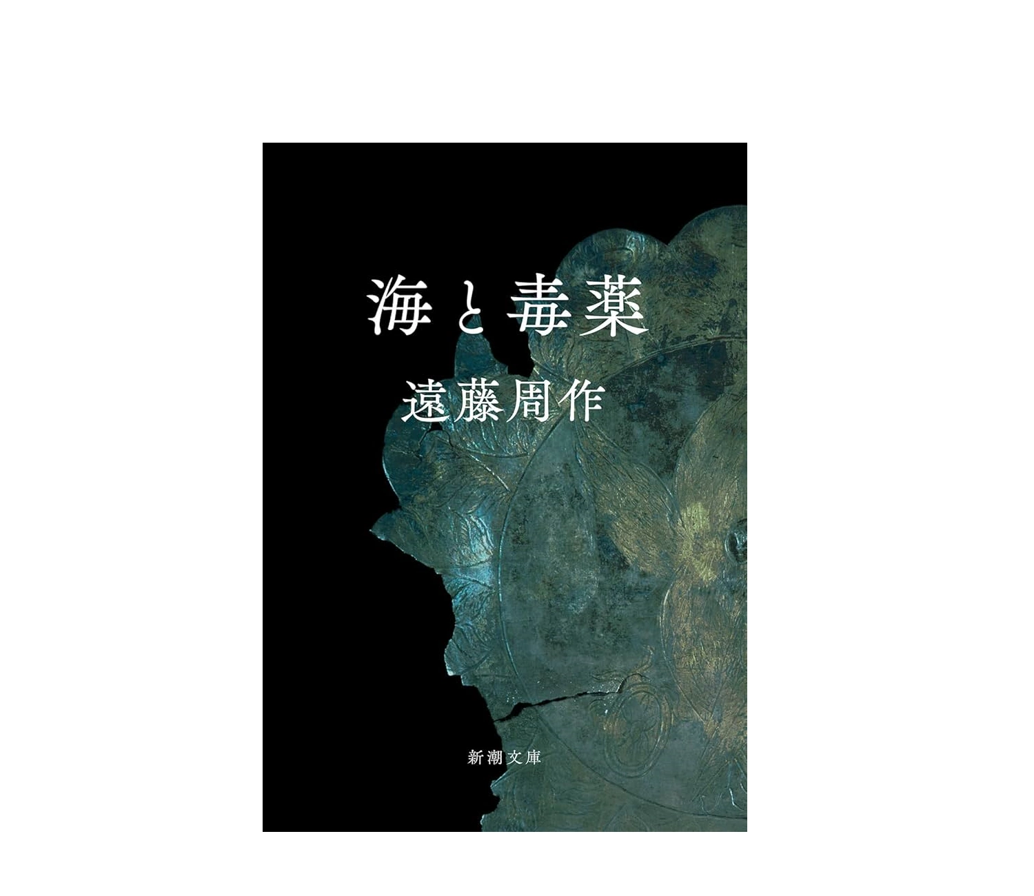 「海と毒薬」小説のあらすじをネタバレありで徹底解説