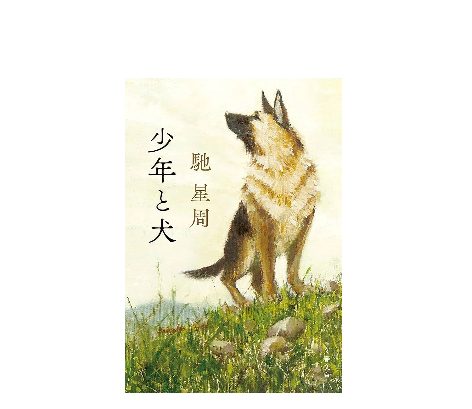 『少年と犬』小説のあらすじを解説！感想や評判も紹介