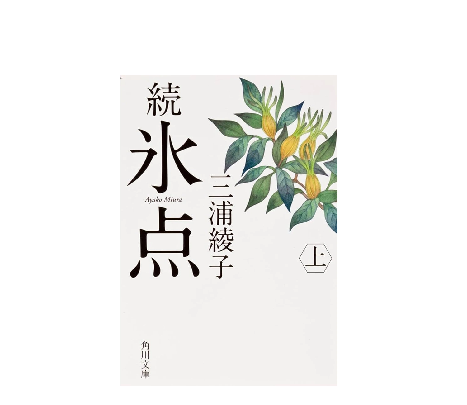 三浦綾子『続氷点』あらすじと結末｜陽子の結婚と流氷の意味を考察
