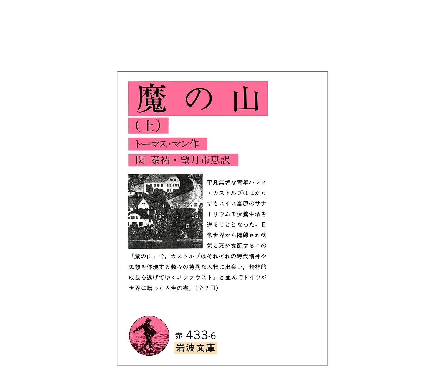 魔の山の小説あらすじを徹底解説！翻訳比較や難解な魅力に迫る