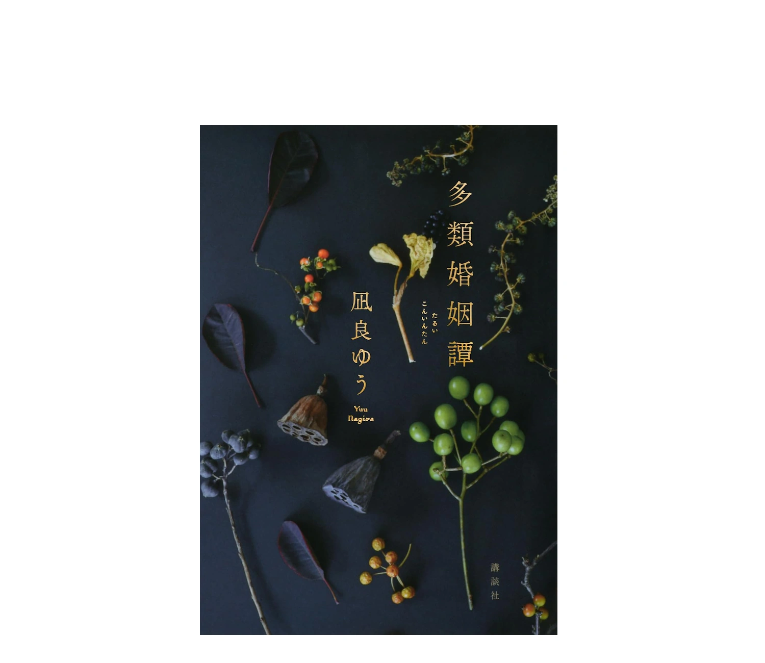凪良ゆう『多類婚姻譚』あらすじと魅力！感想も徹底解説