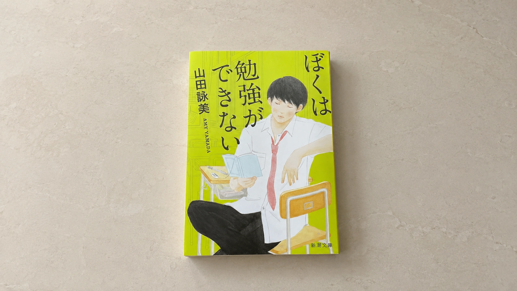 管理人が実際に所有している「僕は勉強ができない」の小説本の表紙を正面から撮影した画像