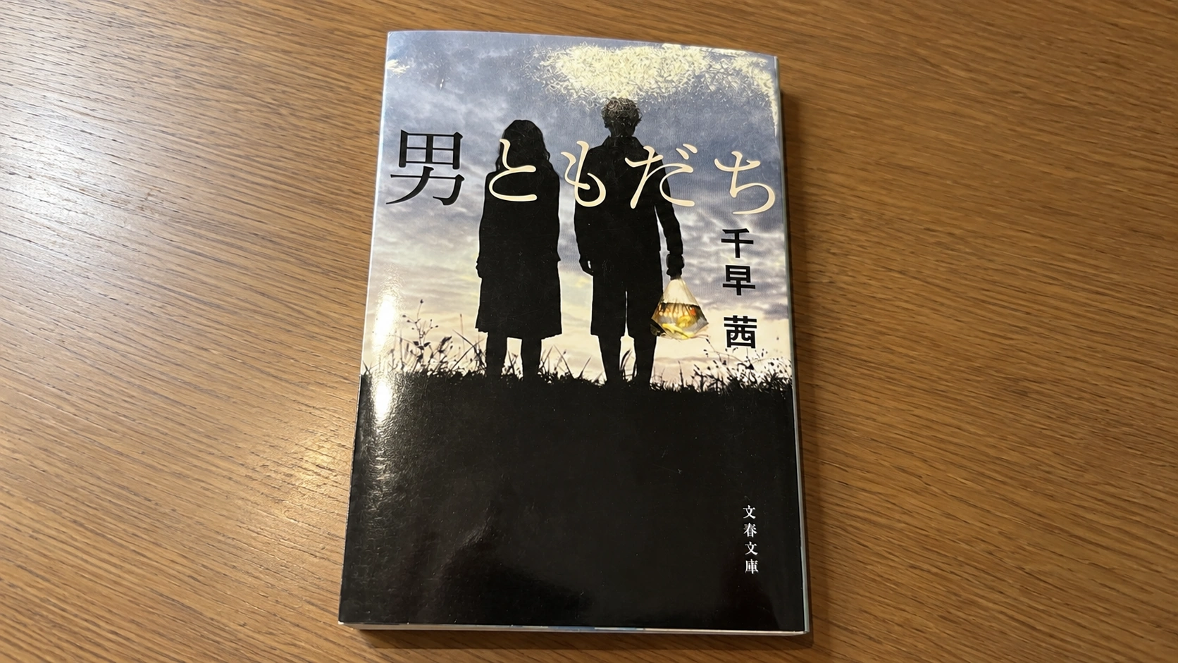 管理人おうみが所有している「男ともだち」の小説本をスマホのカメラで撮影した画像